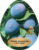 Слива Стартовая (в коробке)  (ПОИСК)