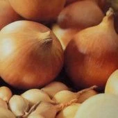 Лук севок Центурион 10/21 сетка 20кг (Россия-Голландия) +/-10%