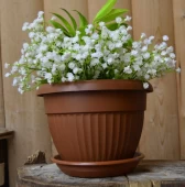 Флора горшок с поддоном 1,6л d17 h12 терракот 1/32 (ТехПласт)