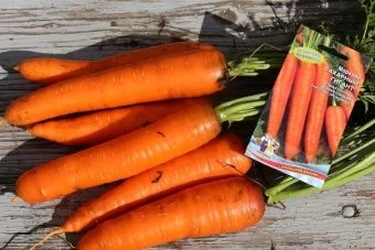 Морковь Сахарный Гигант (УД)