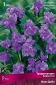 Традесканция Андерсона Макс Дабл (ПОИСК)