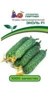 Огурец Эколь 5шт (Партнер)