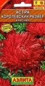 Астра Королевский размер красная (Аэлита) Астра Королевский размер красная (Аэлита)