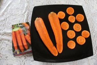 Морковь Сахарный Гигант (УД) 1