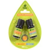 Набор эфирных масел Эвкалипт и пихта 2х10мл арт.32289 1/20 (Б/Ш)