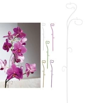 00024265_Поддержка для орхидеи прозрачная 60см 1_8