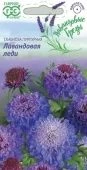Скабиоза пурпурная Лавандовая леди серия Лавандовые грезы (Гавриш) 1/500