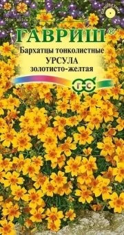 00012590_Бархатцы Урсула золотисто-желтая тонколис