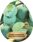 Слива Ренклод колхозный (в коробке) (ПОИСК)