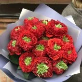 Роза Рэд Ай чайно-гибридная (Садовита)