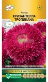 Астра ХРИЗАНТЕЛЛА Тропикана китайская 5шт (Евросемена)