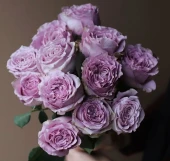 Роза Принцесса Каори японская (Золотая сотка Алтая)