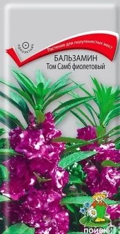 00036577_Бальзамин Том Самб фиолетовый 0,1гр (ПОИС