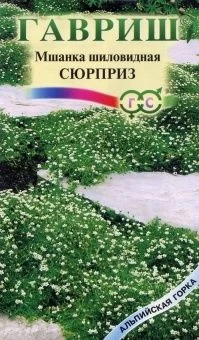 00008311_Мшанка Сюрприз (Гавриш) 1_1000