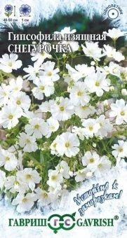 00009466_Гипсофила Снегурочка изящная (Гавриш) 180