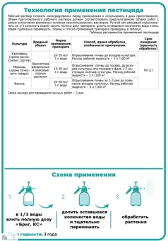Бриг (ЩА)