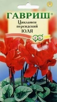 Цикламен Юля персидский (Гавриш) 1/1000