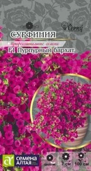 00032261_Сурфиния Пурпурный Бархат 5шт (Сем Алт)