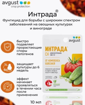 Интрада 10мл 180 (Август)