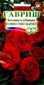 00007420_Бегония Нон-стоп Скарлет (Гавриш)