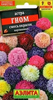 00030546_Астра Гном смесь окрасок (Аэлита) 