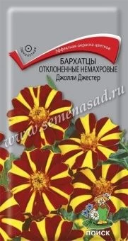 00041050_Бархатцы Джолли Джестер отклоненные немах
