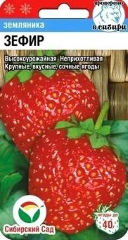 00015441_Земляника Зефир 10шт (Сиб. сад)