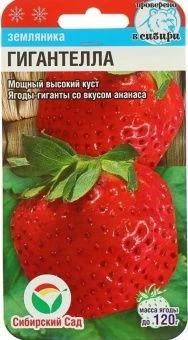 00013354_Земляника Гигантелла 10шт (Сиб. сад)