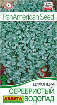 Снимок экрана 2025-08-01 144722