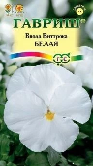 00013650_Виола белая (Гавриш) 1800