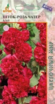 Шток-роза-Чатер-Алая-цв.-мир