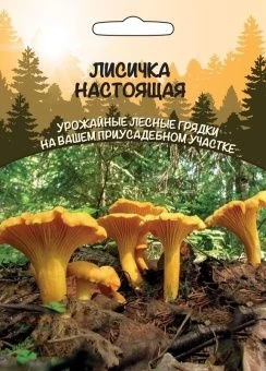 00037601_Гриб Лисичка Настоящая (УД)