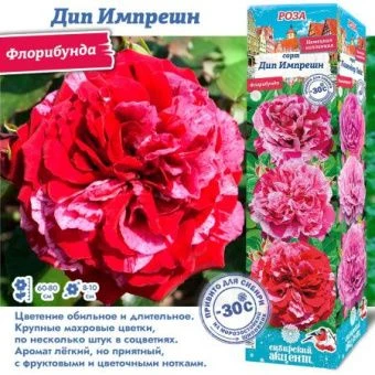 2jhrl1y03ljyvhctgpwig8g4ycewx86g