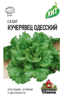 00011543_Салат Кучерявец Одесский (Гавриш) МЕТАЛЛ