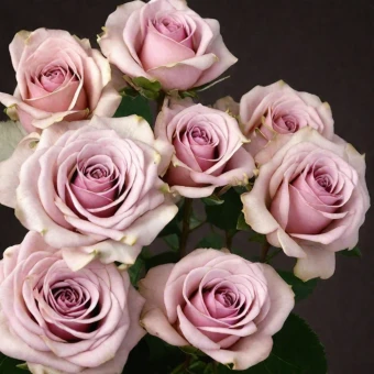 90b0021437365177c98696253ed5b3f6