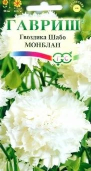 00007710_Гвоздика шабо Монблан (Гавриш)