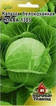 00008007 _ Капуста бк Слава 1305 (Гавриш)  