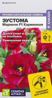 Снимок экрана 2025-10-16 122503