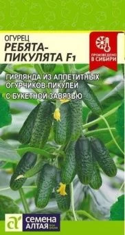 00027674_Огурец Ребята-Пикулята F1 5шт (Сем Алт)