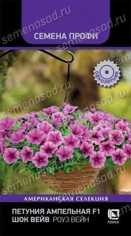 petuniya_ampelnaya_f1_shok_veyv_rouz_veyn