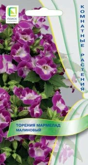 torenia_marmelad_malinovy
