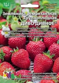 00041224_Земляника Диво дивное  ремонтантная 10шт 