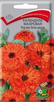 00033928_Календула Ред Виз Блэк центр махровая (ПО
