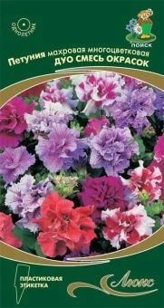 00021401_Петуния Дуо смесь многоцветковая махровая