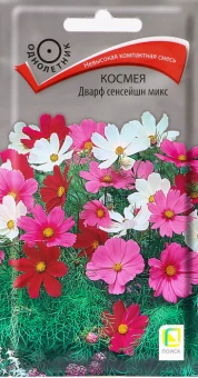Космея Дварф сенсейшн микс 0,2г (ПОИСК)