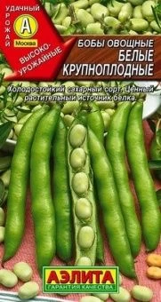 00015300_Бобы Белые крупноплодные (Аэлита)