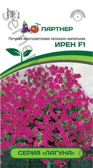00031151_Петуния Ирен F1 многоцветковая каскадная 