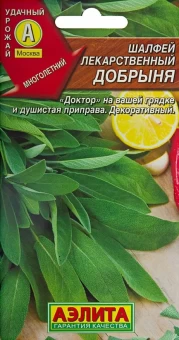 00014347_Шалфей лекарственный Добрыня (Аэлита)