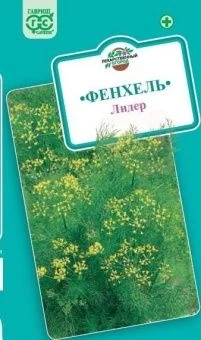 00009375_Фенхель обыкновенный Лидер (Гавриш)