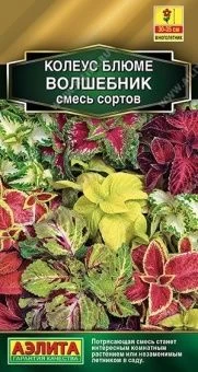 00001997_Колеус Волшебник блюме смесь (Аэлита)